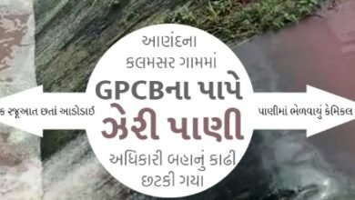 rohan-dyes-companys-sin-toxic-chemical-swimming-in-kalamsar-village-dam-gpcb-officials-blindfolded