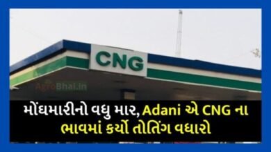 inflation-hit-hard-adani-hikes-cng-prices-know-new-prices-applicable-from-today