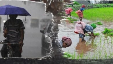 heavy-rain-forecast-with-thunderstorm-in-ahmedabad-surat-rajkot-48-hours-heavy