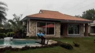 a-high-profile-liquor-party-was-held-in-anands-farmhouse-the-girls-of-the-big-house-also-drank-liquor
