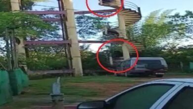 bears-climbed-water-tank-for-honey-videoboth-broke-the-beehive-and-ate-honey-people-hid-in-their-houses-when-they-saw-it-in-the-residential-area