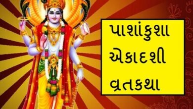 pashankusha-ekadashi-2022-knowingly-or-unknowingly-pashankusha-ekadashi-vow-will-bring-blessings-of-healthy-longevity