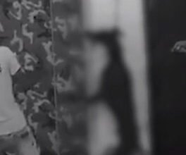 who-is-the-animal-in-this-in-delhi-the-owner-gave-death-sentence-to-sick-dog-chained-and-hanged-live-video