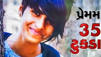delhi-crime-news-35-pieces-cut-in-love-10-to-12-still-missing-shocking-incident-in-delhi