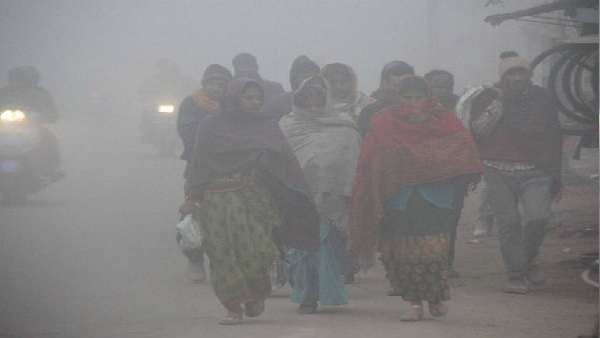gujarat-weather-updates-meteorological-department-has-predicted-cold-wave-the-beginning-of-the-new-year-will-be-shivering