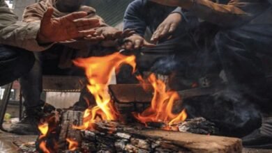 gujarat-cold-in-the-last-48-hours-the-state-got-colder-the-temperature-reached-10-degrees-in-many-cities