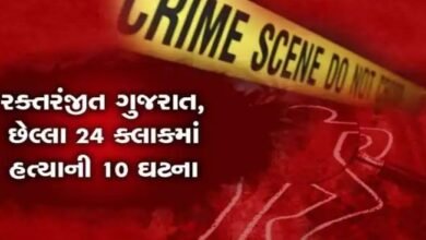 crime-rate-increased-in-gujarat-10-murders-in-last-24-hours-body-parts-of-middle-aged-man-also-chopped-off-after-murder-in-surat