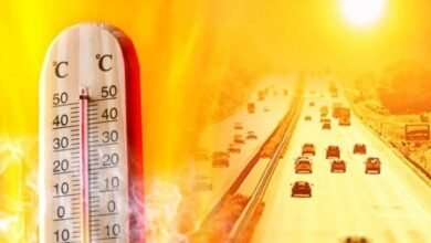 heavy-next-3-days-in-gujarat-scorching-heat-forecast-see-what-met-department-said