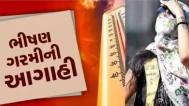 scary-prophecy-after-the-freezing-cold-now-scorching-heat-forecast-these-3-months-are-going-to-be-very-hot