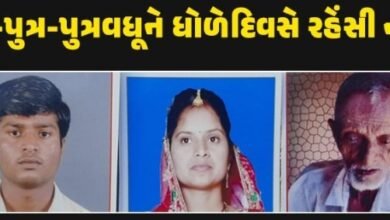 in-surendranagar-there-was-a-stampede-due-to-the-triple-murder-father-son-daughter-in-law-were-killed-in-a-normal-manner-the-child-was-found-dead