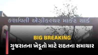 good-news-for-farmers-of-gujarat-indias-largest-private-market-yard-opens-from-today-special-facilities-will-be-available-for-365-days