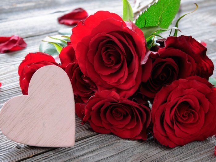 happy-rose-day-2023-wishes-send-this-greeting-message-to-your-partner