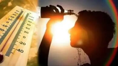 heatwave-in-february-itself-in-these-districts-meteorological-department-forecast-bootleggers-bring-new-techniques-to-smuggle-liquor