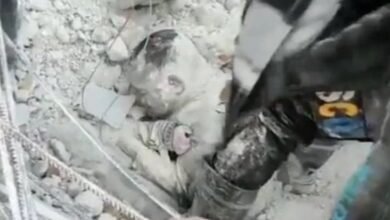 turkey-syria-viral-video-father-gave-his-life-to-save-sons-life-heartbreaking-after-terrible-earthquake-video-viral
