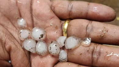 gujarat-weather-rain-forecast-for-three-days-in-the-state-hail-here-including-amreli