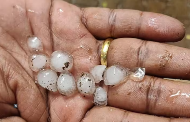 gujarat-weather-rain-forecast-for-three-days-in-the-state-hail-here-including-amreli