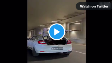 video-youngsters-were-seen-stealing-money-in-running-cars-on-the-road-people-said-this-is-a-copy-of-shahids-series