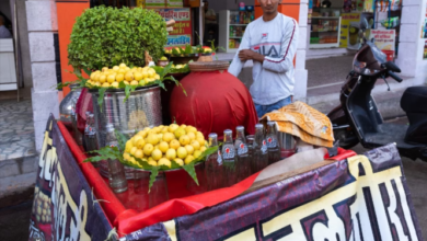 immunity-booster-corona-cases-are-increasing-again-in-the-country-including-gujarat-increase-your-immunity-with-this-juice