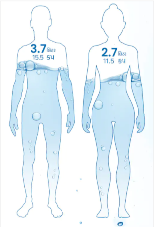 how-much-water-should-men-and-women-drink-daily-how-much-water-to-drink-during-the-day-is-beneficial-for-health-come-know-the-complete-information