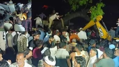 tragedy-in-maharashtras-akola-7-dead-30-more-injured-due-to-falling-sheet-shed-of-temple
