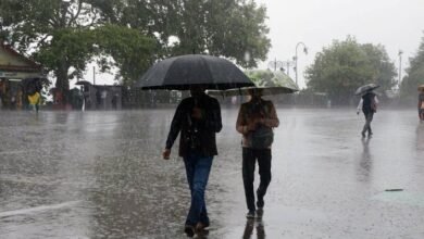 forecast-of-rain-with-storm-in-these-5-states-of-the-country-here-imd-has-announced-yellow-alert