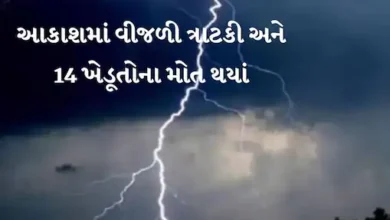14-dead-due-to-lightning-in-west-bengal-thunderstorm-with-lightning-in-many-districts