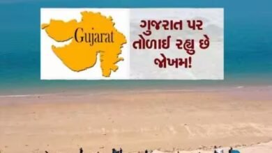 gujarats-most-beautiful-beach-is-in-danger-the-report-reveals-that-it-will-drown-anytime