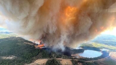 a-fierce-fire-broke-out-in-the-forests-of-canada-thousands-of-people-began-to-flee-their-homes