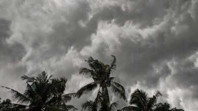 which-sea-coast-of-the-country-will-be-hit-by-storm-in-the-form-of-rauda-big-prediction-of-ambalal-patel