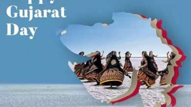 gujarat-foundation-day-2023-chief-minister-wishes-the-first-ever-gujarat-foundation-day